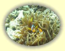 IMG_2007_05_30 14_04_33 * 2272 x 1704 * (696KB)